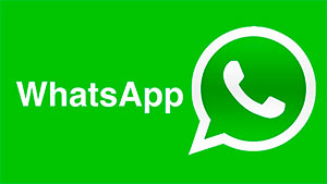 Contacto WhatsApp